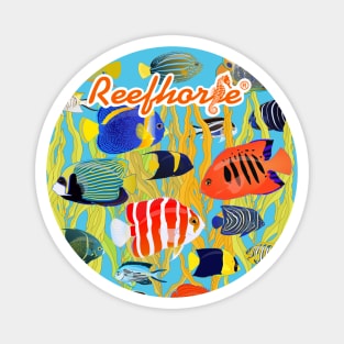 Angelfish Collection Magnet